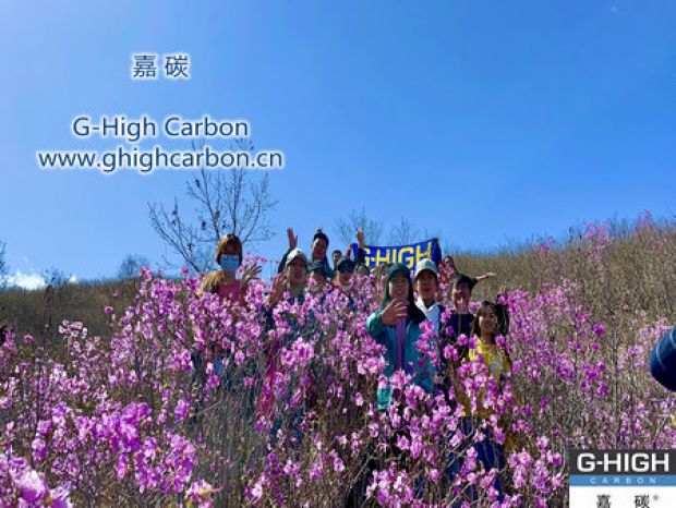 山野映山紅遍，嘉碳不負春光