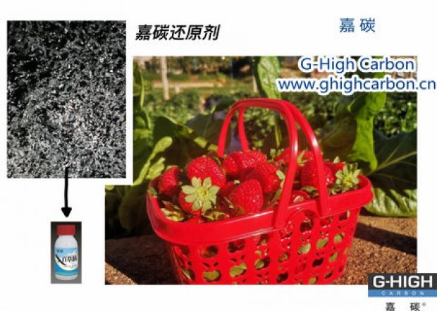 嘉碳還原劑守護(hù)“莓”好，甜蜜上線
