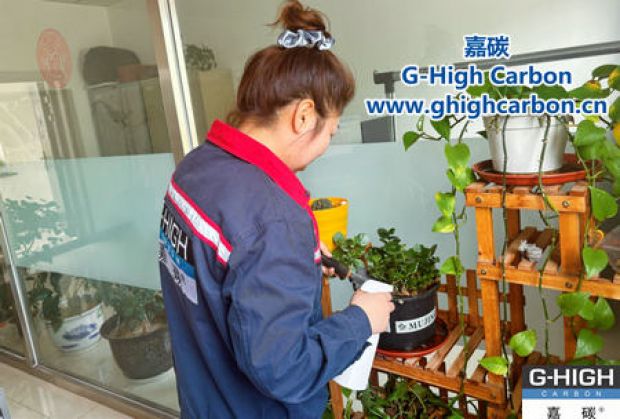 午休時(shí)光種花忙，美化辦公環(huán)境添綠意
